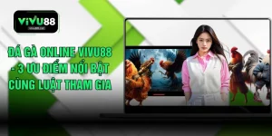 Đá Gà Online VIVU88 - 3 Ưu Điểm Nổi Bật Cùng Luật Tham Gia