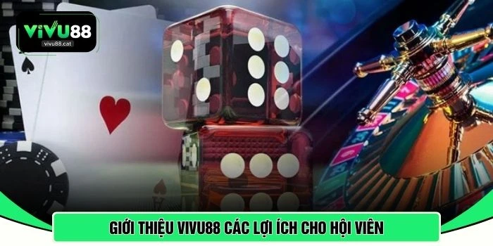 Giới thiệu VIVU88 các lợi ích cho hội viên 