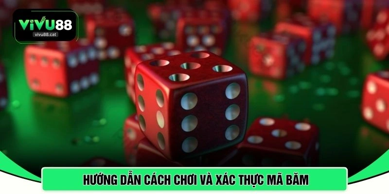 Hướng dẫn cách chơi và xác thực mã băm