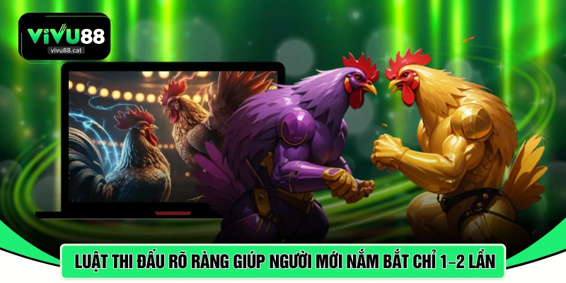 Luật thi đấu rõ ràng giúp người mới nắm bắt chỉ sau 1–2 lần