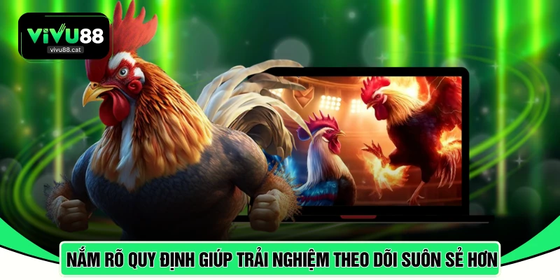 Nắm rõ quy định giúp trải nghiệm theo dõi diễn ra suôn sẻ hơn