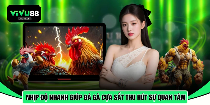 Nhịp độ nhanh là yếu tố giúp đá gà cựa sắt thu hút sự quan tâm